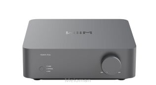 WiiM VIBELINK Amp