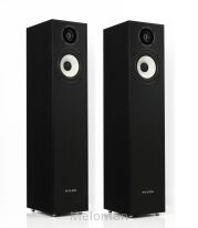 Pylon Audio Pearl 20 + Akcesoria GRATIS!